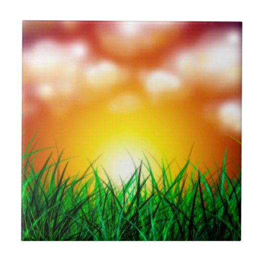 草原に広がる美しい日の出 タイル (正面)