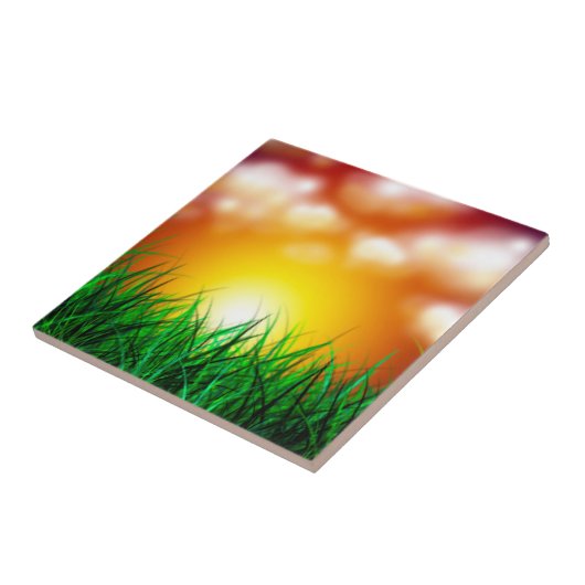 草原に広がる美しい日の出 タイル (側面)