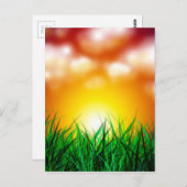 草原に広がる美しい日の出 ポストカード (正面/裏面)