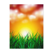 草原に広がる美しい日の出