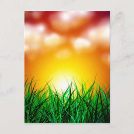 草原に広がる美しい日の出 ポストカード (正面)