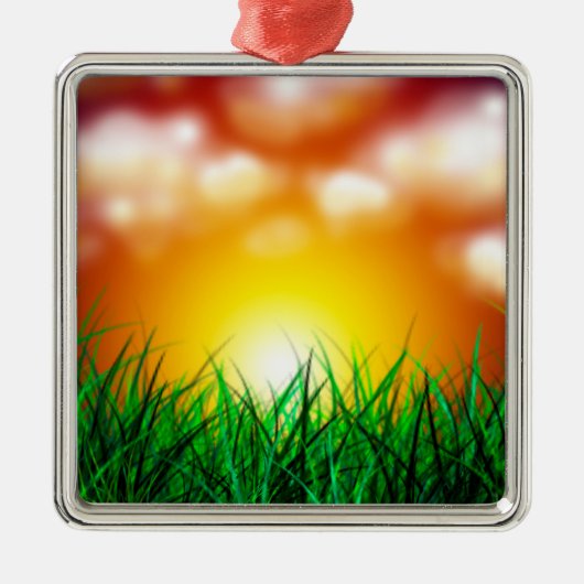 草原に広がる美しい日の出 メタルオーナメント (正面)
