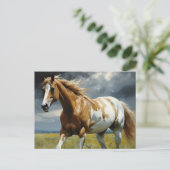 草原に浮かぶ豪華なピントの馬 ポストカード (スタンド正面)