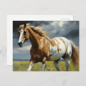 草原に浮かぶ豪華なピントの馬 ポストカード (正面/裏面)