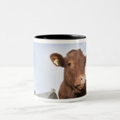 草原に立っている子牛 ツートーンマグカップ (中央)