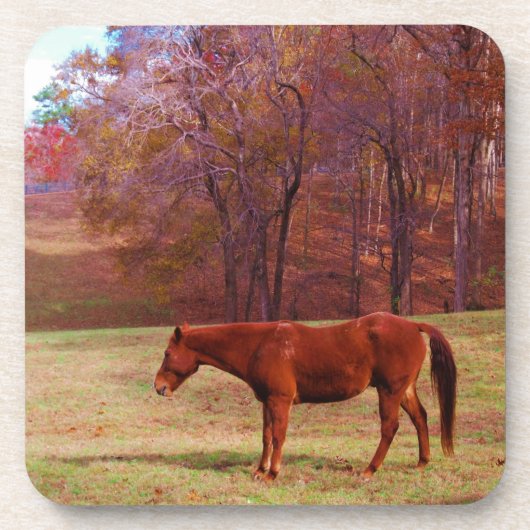 草原に茶色の馬 コースター (正面)