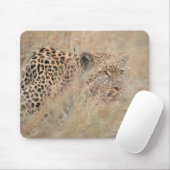 草原に隠れた遊戯ヒョウ マウスパッド (マウス)