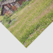 草原に集まった木と石のキャビン 薄葉紙 (詳細)