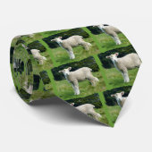 草原のかわいい泥の子ヒツジのベビーのヒツジ ネクタイ (ロール)
