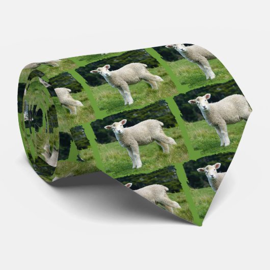 草原のかわいい泥の子ヒツジのベビーのヒツジ ネクタイ (ロール)