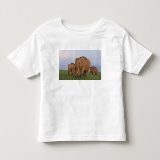 草原のインドゾウ トドラーTシャツ (正面)