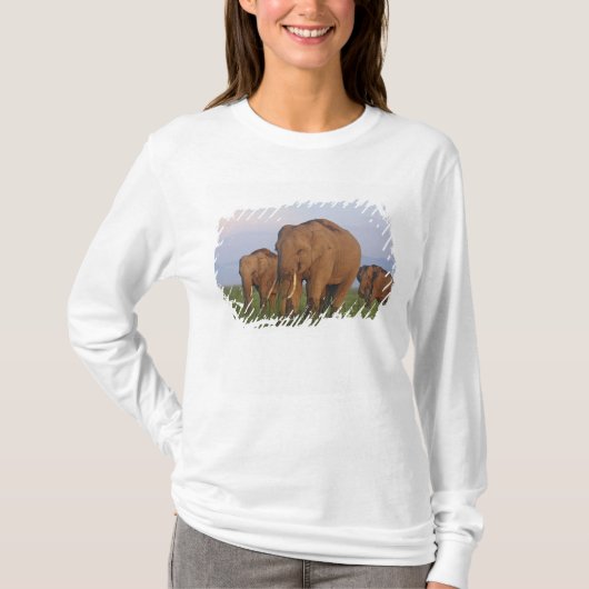 草原のインドゾウ Tシャツ (正面)