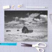 草原のバーンズの白黒の写真 薄葉紙 (クラフト)