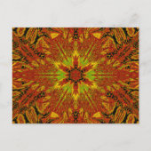 草原の光5 ポストカード (正面)