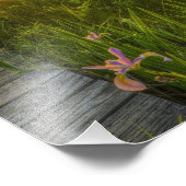 草原の夕日 フォトプリント            (角)