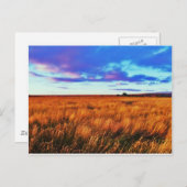 草原の夕日 ポストカード (正面/裏面)