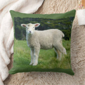 草原の崖っぷちのデザインのかわいい泥の子ヒツジ クッション (ブランケット)