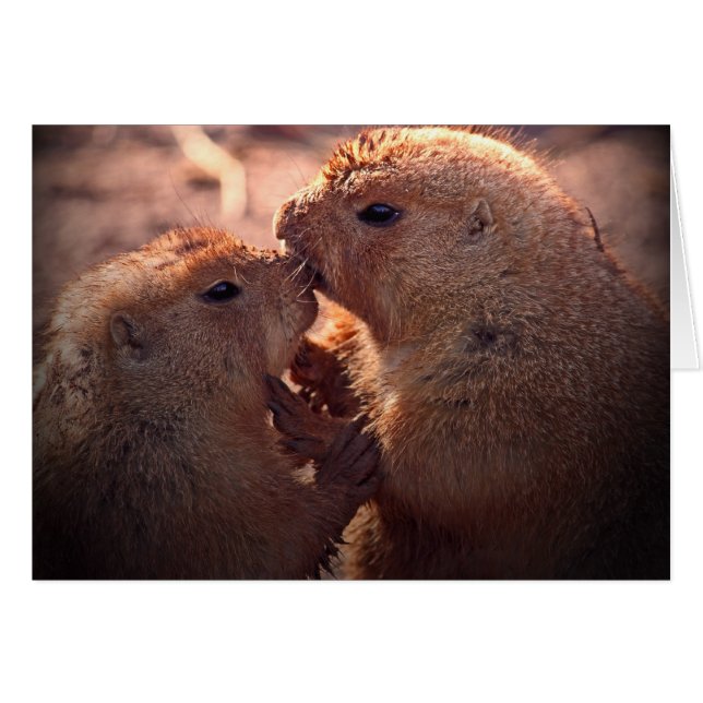 草原の愛 (正面横)