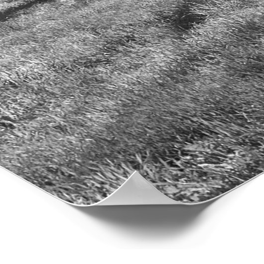 草原の暗い木(b/w) ポスター (角)