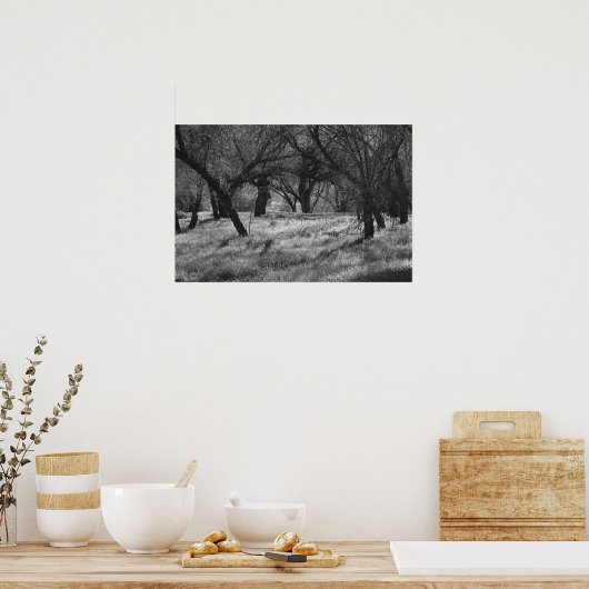 草原の暗い木(b/w) ポスター (キッチン)