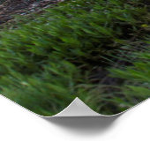 草原の池が日の出の鮮やかな雲を反射 ポスター (角)