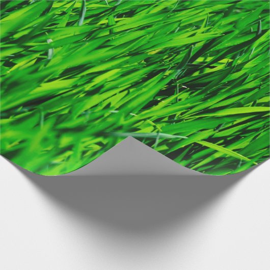 草原の牧草地の芝生の生育 ラッピングペーパー (角)