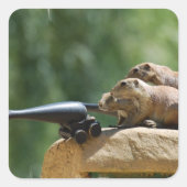 草原の犬の兵士のシール スクエアシール (正面)