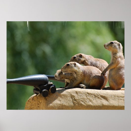 草原の犬の兵士のポスター ポスター (正面)