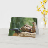 草原の犬の兵士グリーティングカード カード (黄色い花)