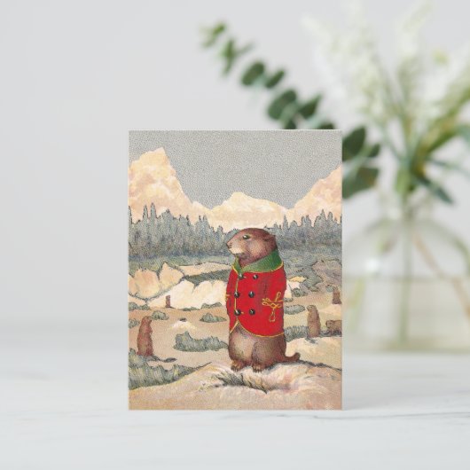 草原の犬の町の水田の足 ポストカード (スタンド正面)