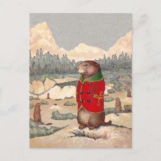 草原の犬の町の水田の足 ポストカード (正面)