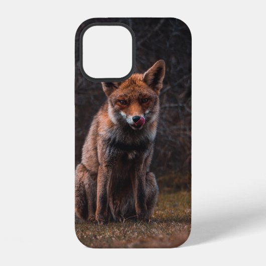 草原の狐 iPhoneケース (裏面)
