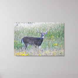 草原の王子（鹿）キャンバス印刷 キャンバスプリント