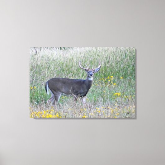 草原の王子（鹿）キャンバス印刷 キャンバスプリント (正面)
