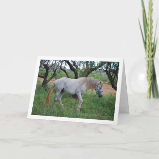 草原の白馬 カード (正面)