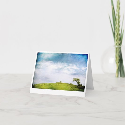草原の空および木 カード (正面)