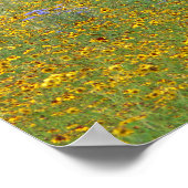 草原の花，インディアナ ポスター (角)