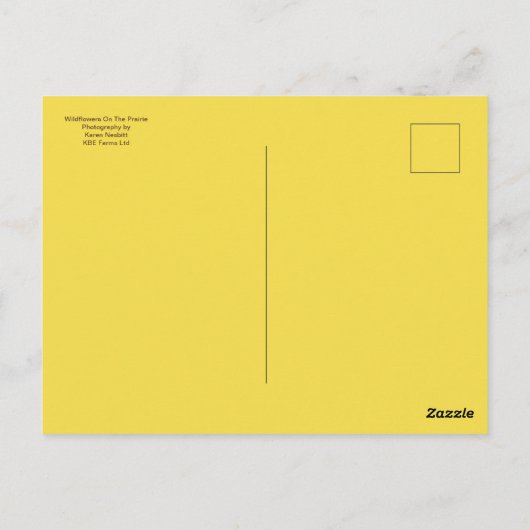 草原の野草 – はがき (裏面)