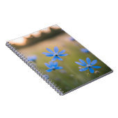 草原の青い野の花 ノートブック (右側)