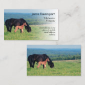 草原の馬そして子馬 名刺 (正面/裏面)