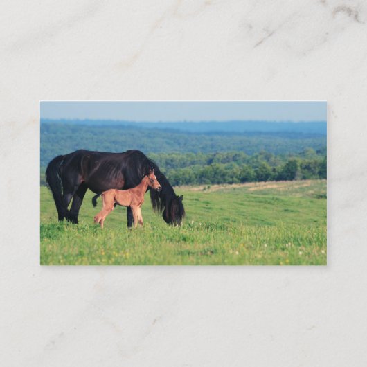 草原の馬そして子馬 名刺 (裏面)