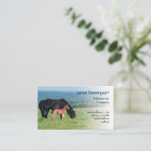 草原の馬そして子馬 名刺 (スタンド正面)
