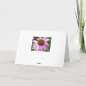 草原の黙想 カード (裏面)