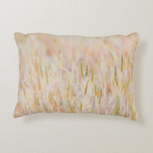 草原は彼によってパステル色に変えられた アクセントクッション (裏面)