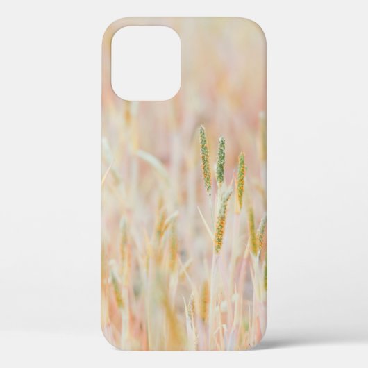 草原は彼によってパステル色に変えられた Case-Mate iPhoneケース (裏面)