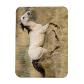 草原を駆ける馬 マグネット (縦)