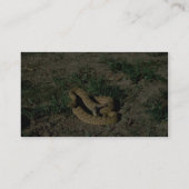 草原ガラガラヘビ 名刺 (裏面)