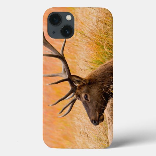 草原草で休んでいるオオシカ(Cervus Elephus) Case-Mate iPhoneケース (裏面)