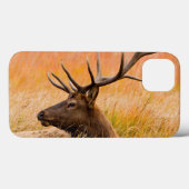草原草で休んでいるオオシカ(Cervus Elephus) Case-Mate iPhoneケース (裏面 (横))