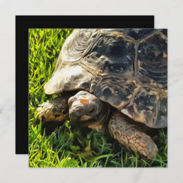 草原野生動物アートの野生のカメ 招待状